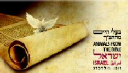 ATM Postage Labels Animals from the bible