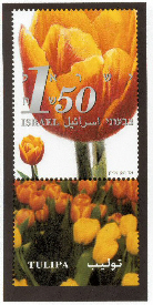 Stamp:Tulipa -Tulip (Flowers), designer:Ad Vanoojen 05/2006