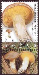 Stamp:Suillus Granulatus (Mushrooms), designer:Ad Vanooijen 02/2002