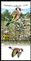 Stamp:Goldfinch (Birds of Israel), designer:Tuvia Kurtz, Ronen Goldberg 01/2010