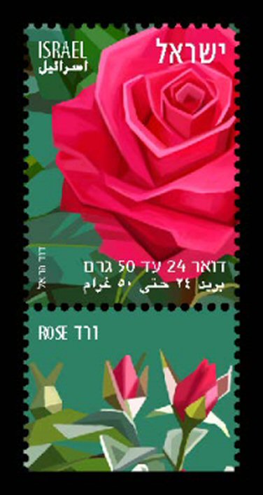  24   (  )