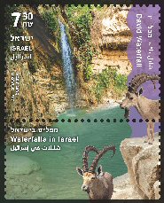 Waterfalls in Israel - David Waterfall