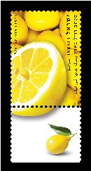   (  -   ), :  02/2009