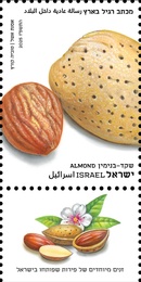   -   (      ), : ,   12/2025