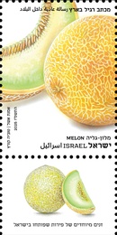  - (      ), : ,   12/2025