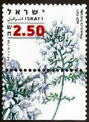   (   ( )), : ,   12/2006