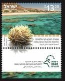 ��� ����� ���� ��� ������� (���� ���� ������ ), ����:���� �������  02/2026