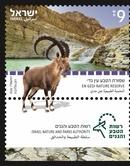 ��� ����� ���� ��� ���  (���� ���� ������ ), ����:���� �������  02/2026