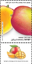   -   (      ), : ,   12/2025