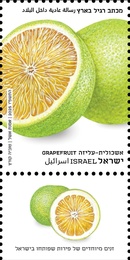   -  (      ), : ,   12/2025