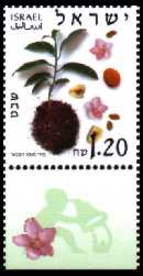   (  -  ), :  02/2002