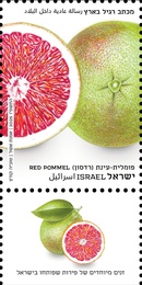  -  ()  (      ), : ,   12/2025